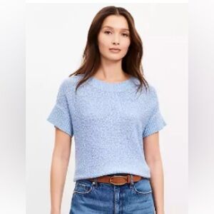 LOFT Ribtrim Wedge Sweater (Rhine) Light Blue Crew Neck Top, Size Small